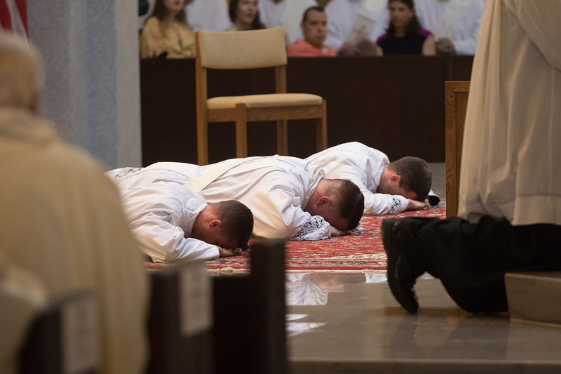 Priesthood Ordination Mass Coverage